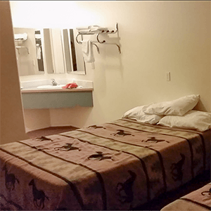 Cowboy Inn Motel Bed and Sink